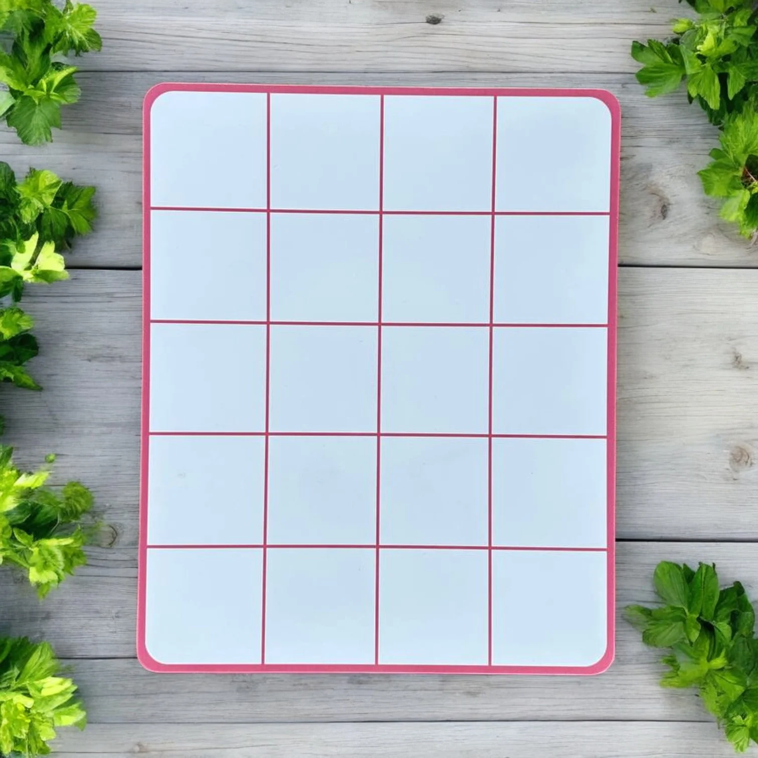 Butterfly Matching - Visual Discrimination - Image 3