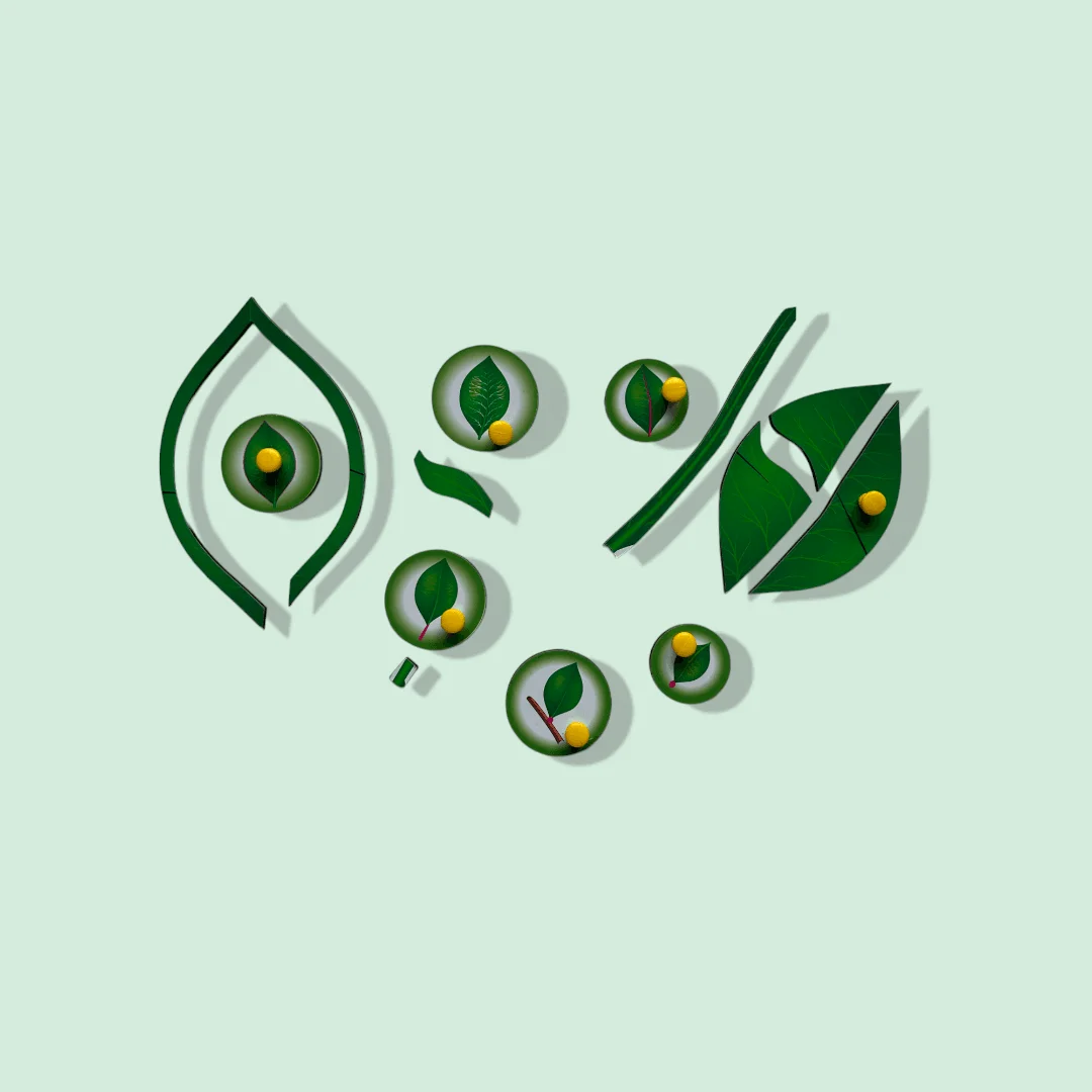 Parts of a Leaf Peg Puzzle - Image 5