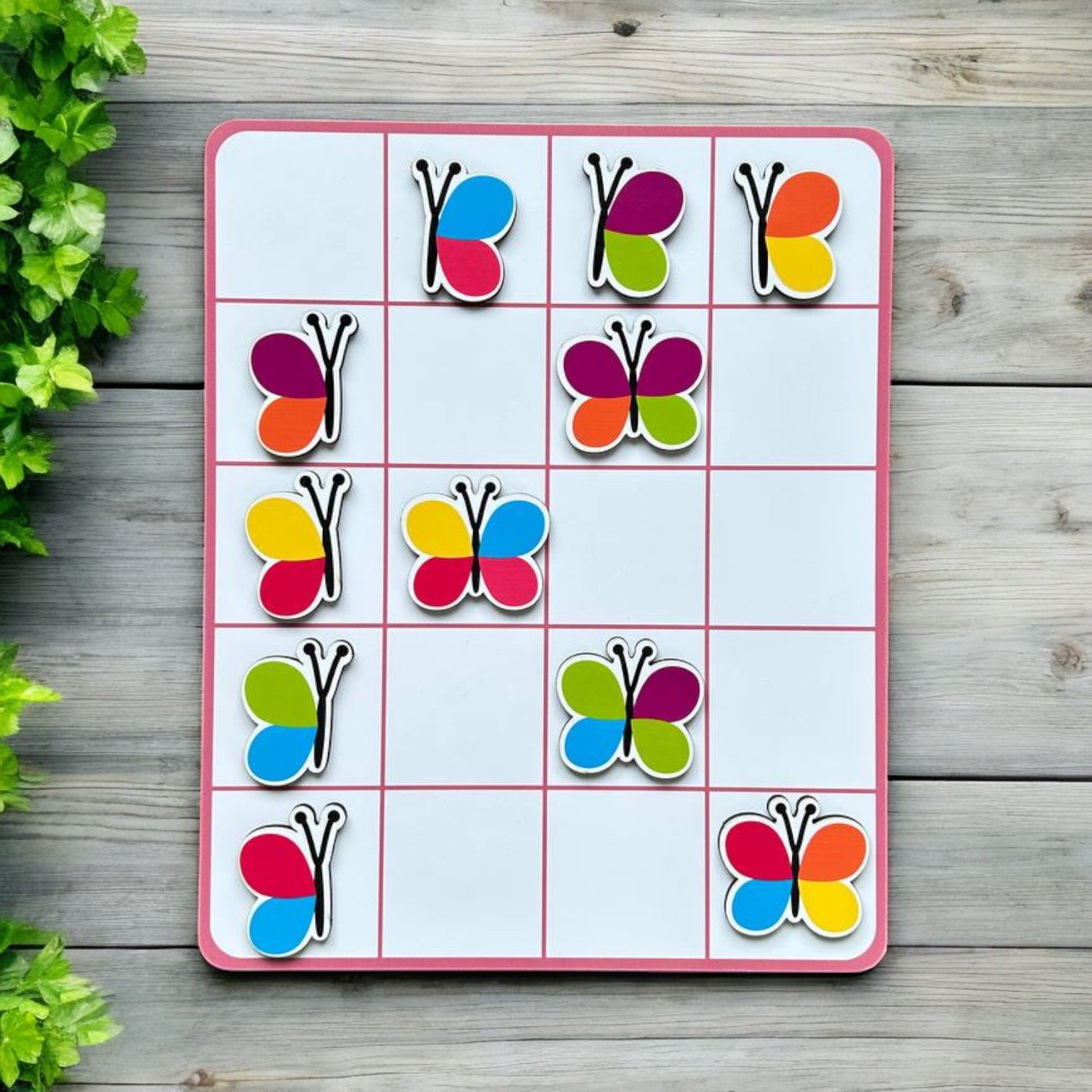 Butterfly Matching - Visual Discrimination