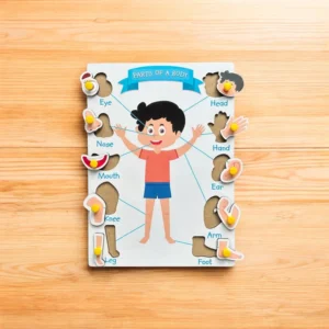 Parts Of the Body Peg Puzzle